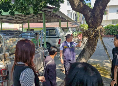 สำนักงานสหกรณ์จังหวัดเชียงรายกระจายผลผลิตสับปะรดภูแลออกนอกพื้นที่การผลิต ... พารามิเตอร์รูปภาพ 15